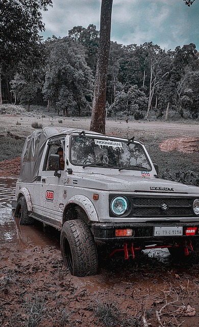 力和智慧的 力和智慧的