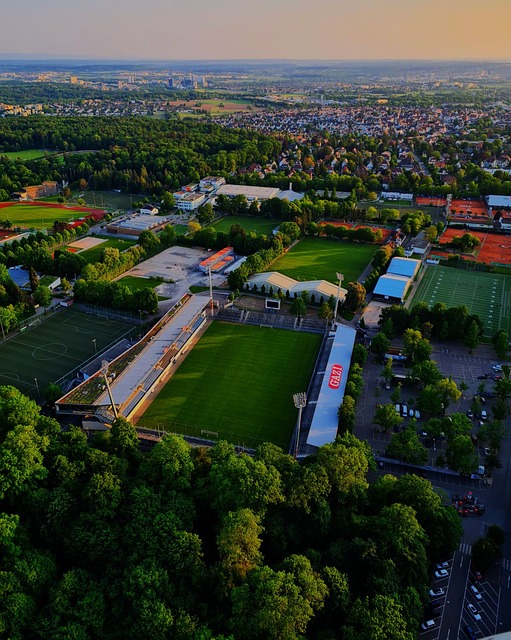 带领年轻球 带领年轻球