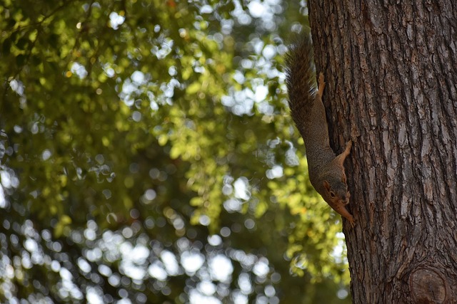律精神與紀 律精神與紀
