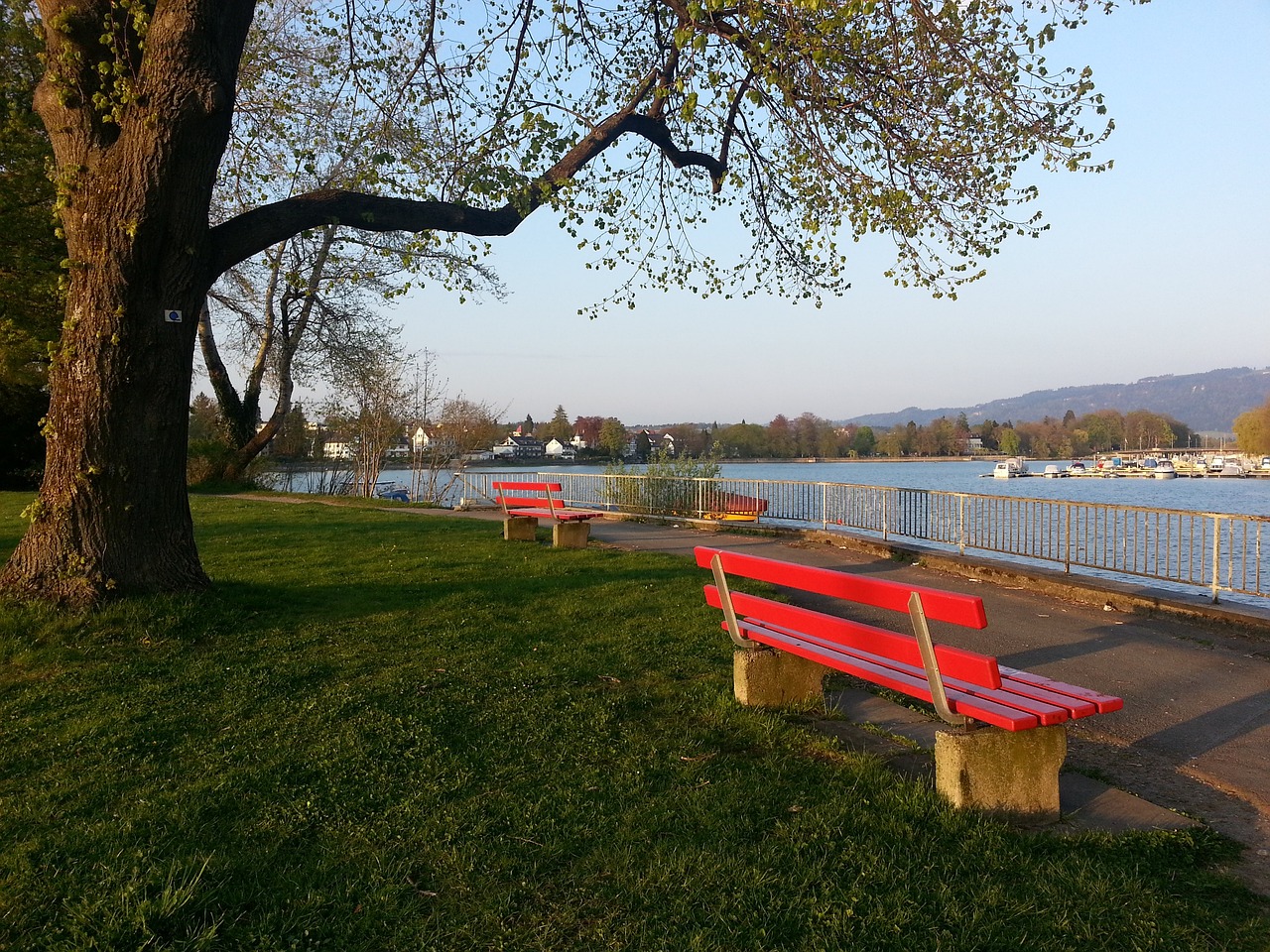 著名球星内 著名球星内