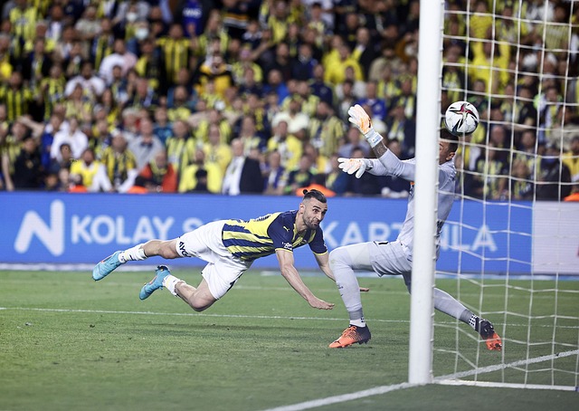 虽然勇士依 虽然勇士依